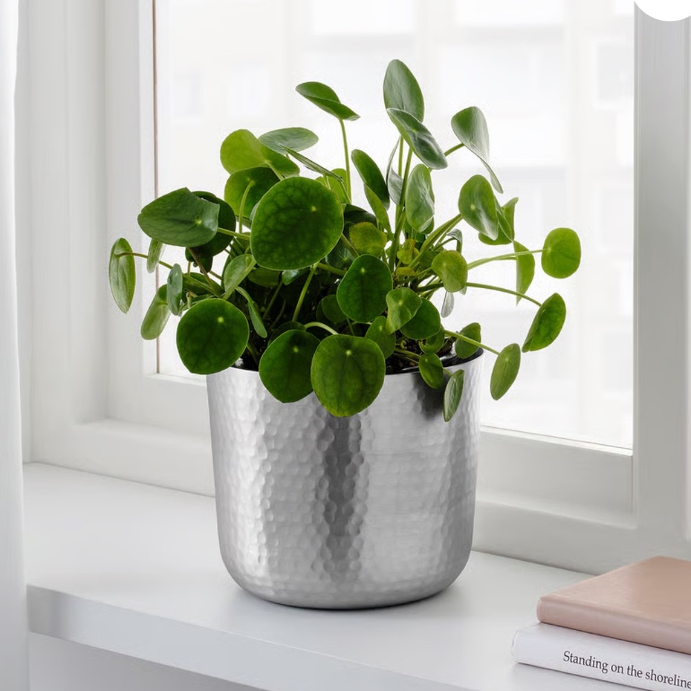 NWT 6” Silver Hammered Plant Pot
